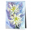 D4-209 / Gingkoblatt