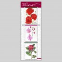 WSL3 - Wunschset 3 Motive Maxi