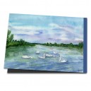 D4-008 / Die Oder- Schw&auml;ne - Brandenburg