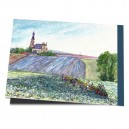 D4-125 / Kohlernte bei W&uuml;rzburg - Bayern