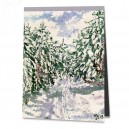 D4-017 / Schneemann am Waldrand - Th&uuml;ringen