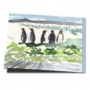 Pinguine besuchen Feuerland